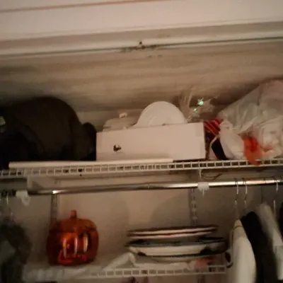 Sale Photo Thumbnail #101: Closet shelves filled with various household goods, including a jack-o'-lantern decoration, stack of serving plates, white storage box, and hanging clothing.