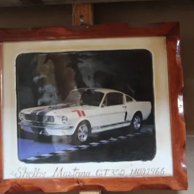 Framed picture of a 1966 Shelby Mustang GT350 set in a carved wooden frame.