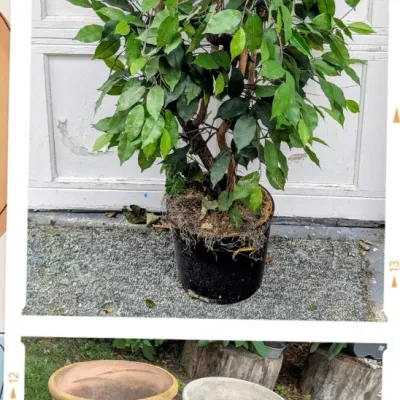 Sale Photo Thumbnail #132