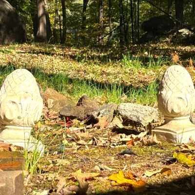 Sale Photo Thumbnail #84