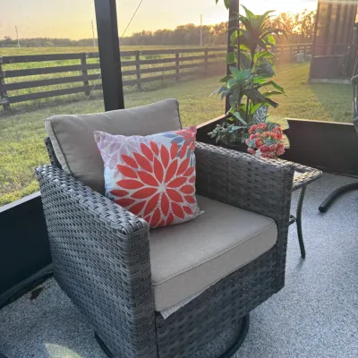 Sale Photo Thumbnail #57: Patio Furniture