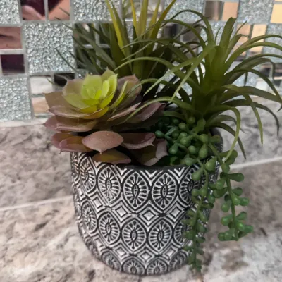 Sale Photo Thumbnail #30: Artificial Plant