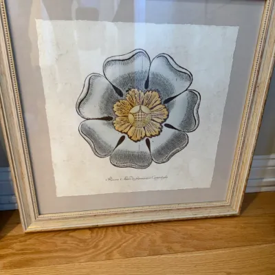 Sale Photo Thumbnail #5: Framed botanical floral print on deckle-edge paper featuring a stylized rosette illustration with a light-colored whitewashed wood frame and double matting.