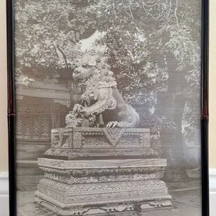 Sale Photo Thumbnail #397