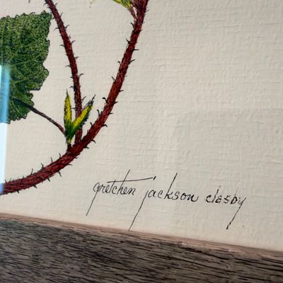Set of 4 Signed Botanical Prints By Gretchen Jackson Clasby (PB-RG)