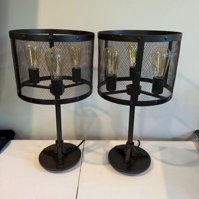 Pair of Industrial Style Metal Mesh Table Lamps (PB-MG)