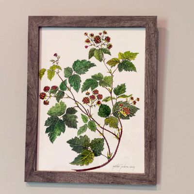 Set of 4 Signed Botanical Prints By Gretchen Jackson Clasby (PB-RG)