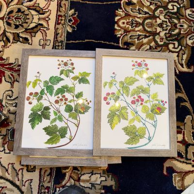 Set of 4 Signed Botanical Prints By Gretchen Jackson Clasby (PB-RG)