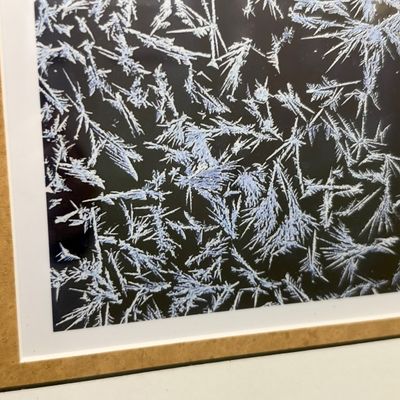 Frost Pattern Nature Print (PB-RG)