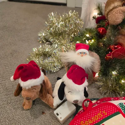 Large Assortment of Holiday Decor & More (BLR-JS)