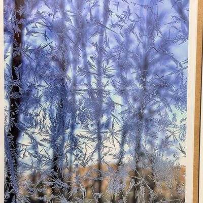 Frost Pattern Nature Print (PB-RG)