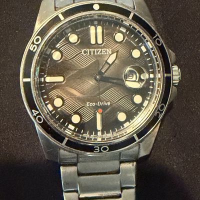 Citizen Eco-Drive Stainless Steel Watch (PB-MG)