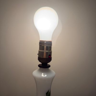 Painted Floral Table Lamps (UD-MG)