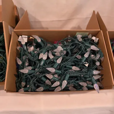 Assorted LED Christmas String Lights (BB-JS)
