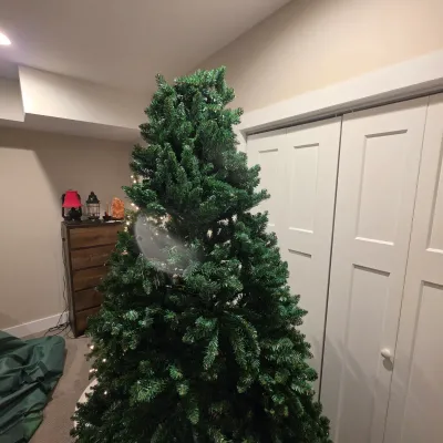 Pair of Artificial Christmas Trees (BB-JS)