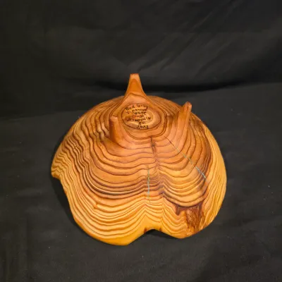 Three Artisan Hand-Turned Wood Vessels (G-JS)