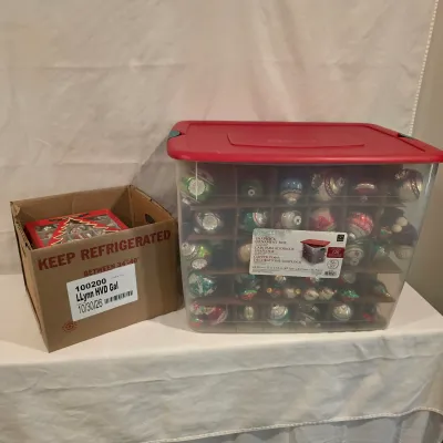 Shiny Brite Glass Christmas Ornaments w/Storage Box (BLR-JS)
