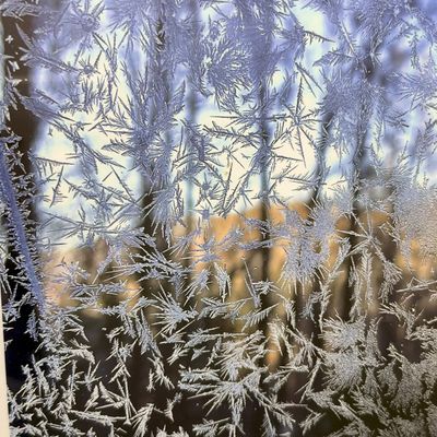 Frost Pattern Nature Print (PB-RG)