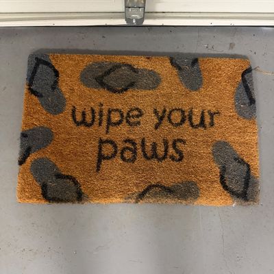 Assorted Outdoor Doormats (G-MG)