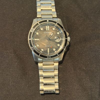 Citizen Eco-Drive Stainless Steel Watch (PB-MG)