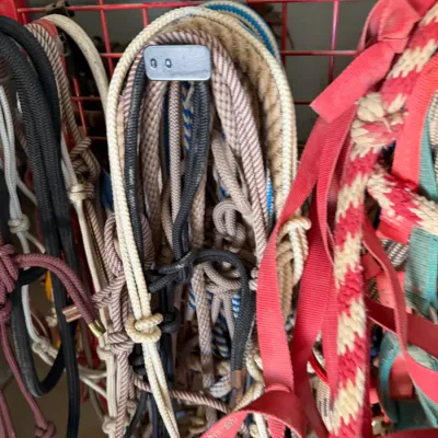 Sale Photo Thumbnail #1424