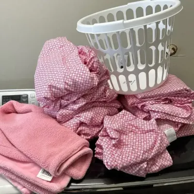 Twin Pink Sheet Sets With Blanket