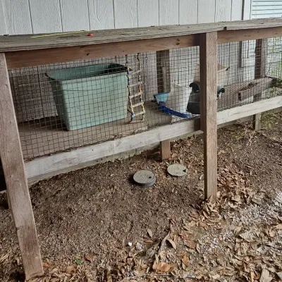 Animal Hutch 