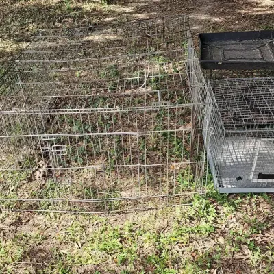 Animal Cages