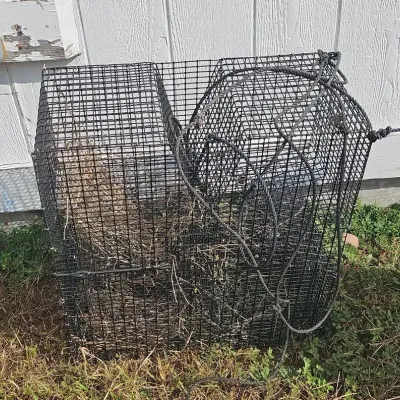 Metal Wire Fish/Crab Trap