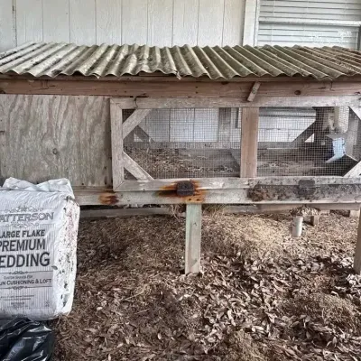 Animal Hutch 2