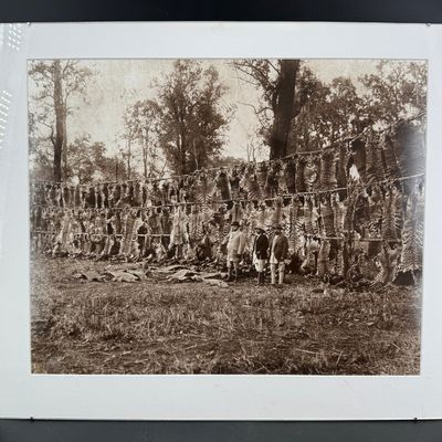 Sale Photo Thumbnail #536
