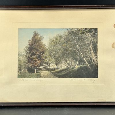 Sale Photo Thumbnail #302