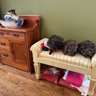 Sale Photo Thumbnail #375