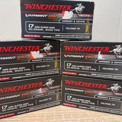 Sale Photo Thumbnail #770