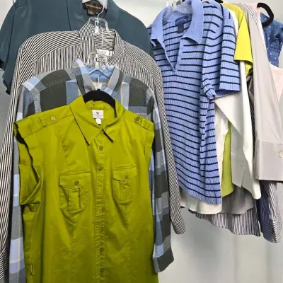 Foxcroft, Classiques Entier & More Collared Tops (M-L Women’s)