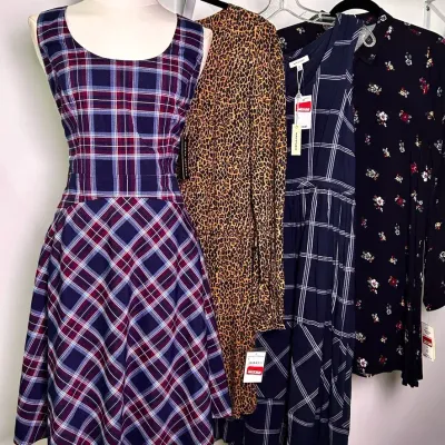 New with Tags Donna Morgan, Max Studio & More Dresses (4) Size S-M