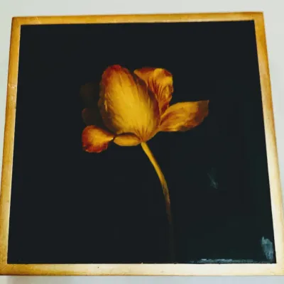 Sale Photo Thumbnail #443