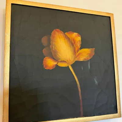 Sale Photo Thumbnail #549