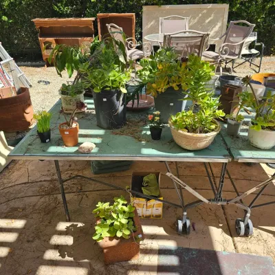 Sale Photo Thumbnail #103
