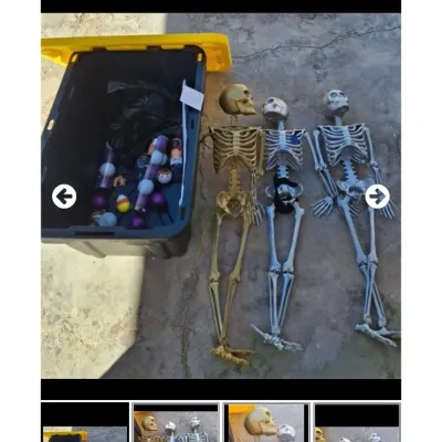 Sale Photo Thumbnail #25: Collection of plastic Halloween skeleton props in gold, silver, and bone finishes, accompanied by a black storage tote filled with festive decor.
