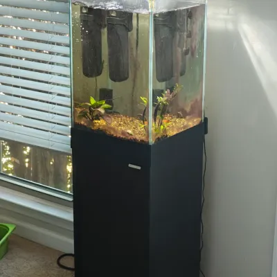 Fish tank (fish not included)
