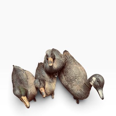 Group of four vintage duck decoys with detailed feather texturing, showing age-appropriate wear and paint loss.