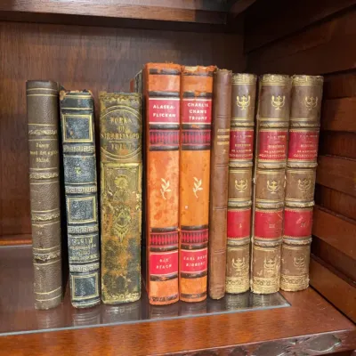Antique Books, Waverly Novels