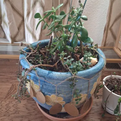 Sale Photo Thumbnail #510: POT IS 14"