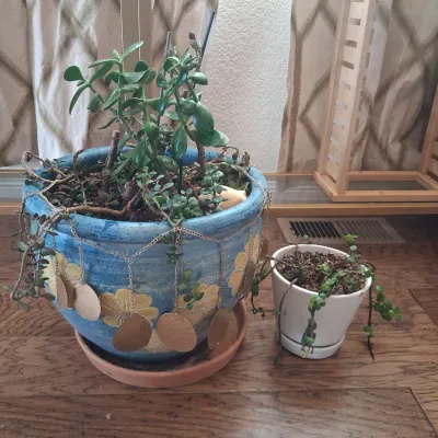 Sale Photo Thumbnail #508: POT IS 14"