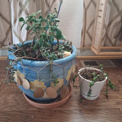 Sale Photo Thumbnail #509: POT IS 14"