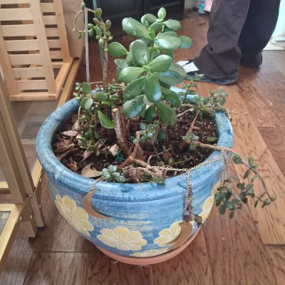 Sale Photo Thumbnail #511: POT IS 14"
