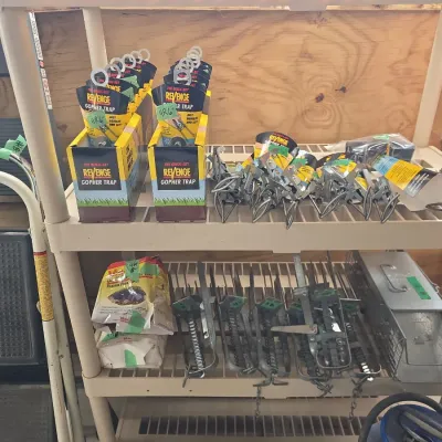 Sale Photo Thumbnail #117: Assortment of modern gopher and pest traps displayed on plastic shelving, including boxed Revenge brand Quick-Set traps, loose metal traps, and a metal live trap box.