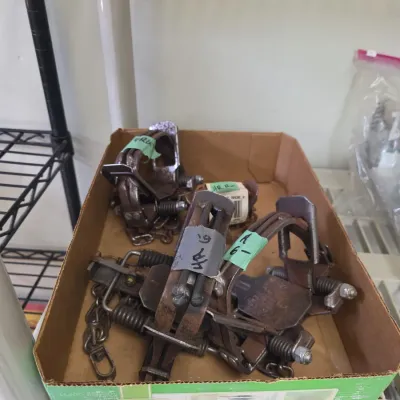 Sale Photo Thumbnail #53: Collection of vintage metal foothold animal traps, shown in a cardboard box with attached chains and price tags.