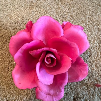 Sale Photo Thumbnail #717: Napoleon Capodimonte Porcelain Rose